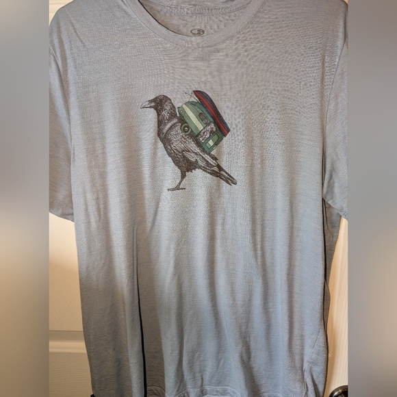 Icebreaker Tshirts (5) Large - Picture 2 of 11